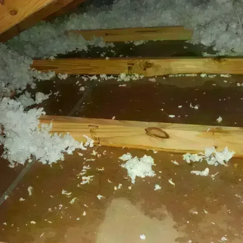 Attic Water Damage in Walnut Hill, TN